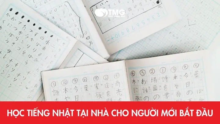 Trang Web Học Tiếng Nhật Cho Người Mới Bắt Đầu