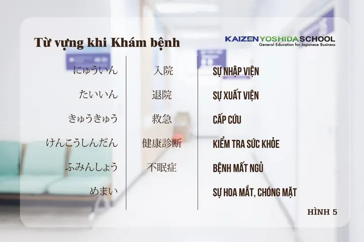 Từ Vựng Khám Bệnh Tiếng Nhật