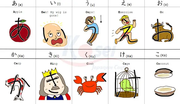 Từ Vựng Tiếng Nhật Bằng Hình Ảnh