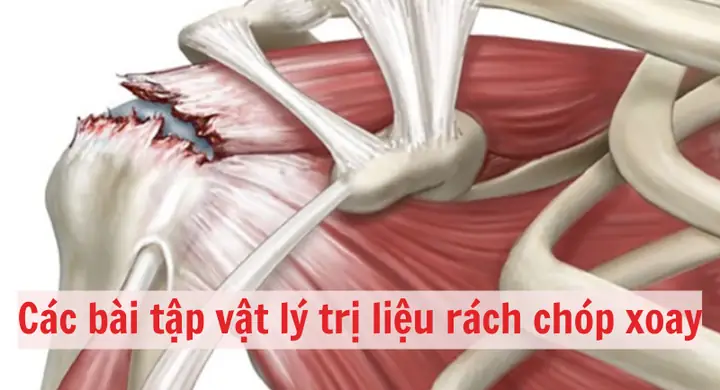 Vật Lý Trị Liệu Tiếng Nhật