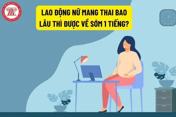 Về Sớm Trong Tiếng Nhật
