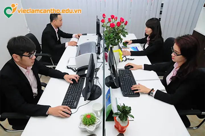 Việc Làm Tiếng Nhật Cần Thơ