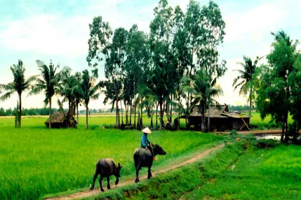 Viết Đoạn Văn Về Quê Hương Bằng Tiếng Nhật N5