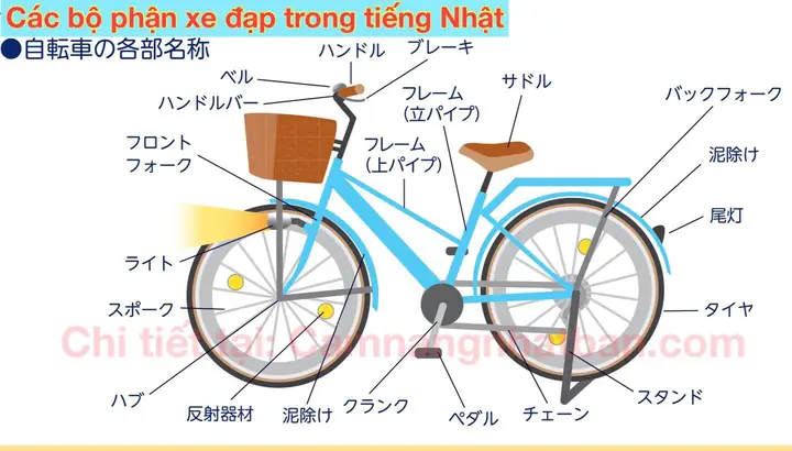 Xe Đạp Tiếng Nhật Xe Đạp Tiếng Nhật